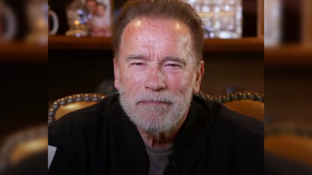 arnold.png 