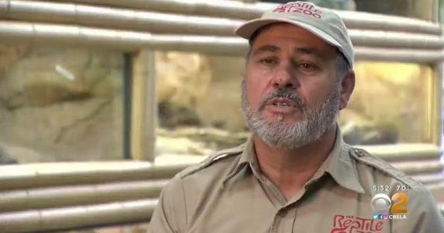 STEAM: Meet An Exotic Snake Breeder - CBS Los Angeles