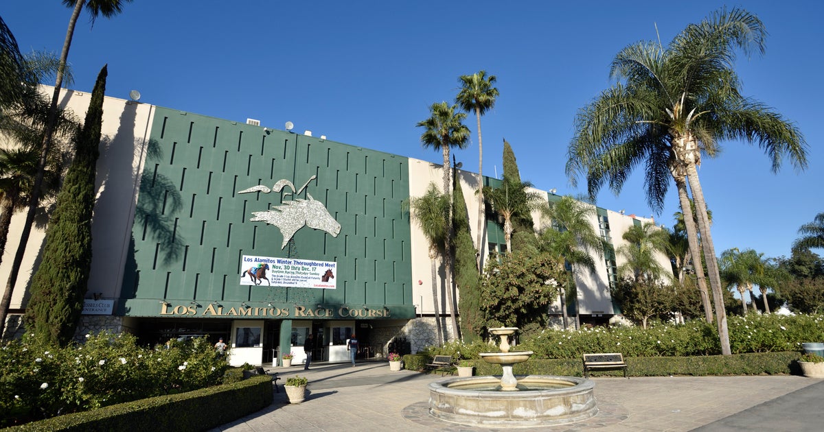 17th horse this year dies at Los Alamitos Race Course - Vimarsana News