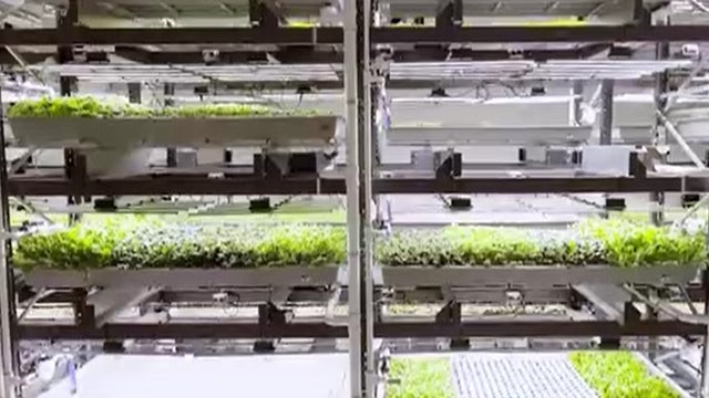 Vertical-Farms.jpg 