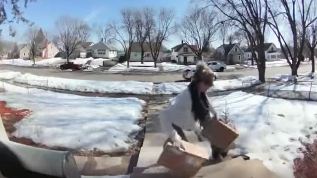 package-thief-.jpg 