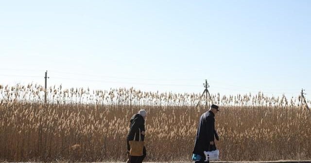War in Ukraine exacerbates global food crisis - CBS News