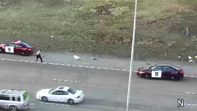 Dog-on-Freeway-Rescued.jpg 