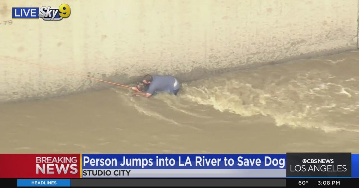 Man jumps into LA River to save dog - CBS Los Angeles