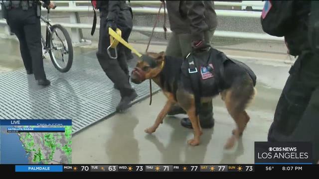 la-river-rescue.jpg 