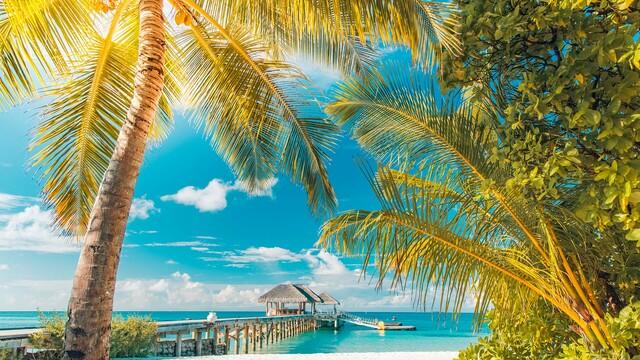0330-airlinetickets-newspath-942182-640x360.jpg 