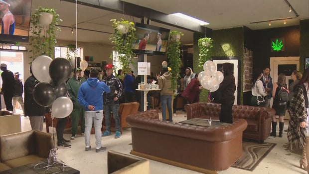 MARIJUANA EQUITY 10 PKG.transfer_frame_1268 