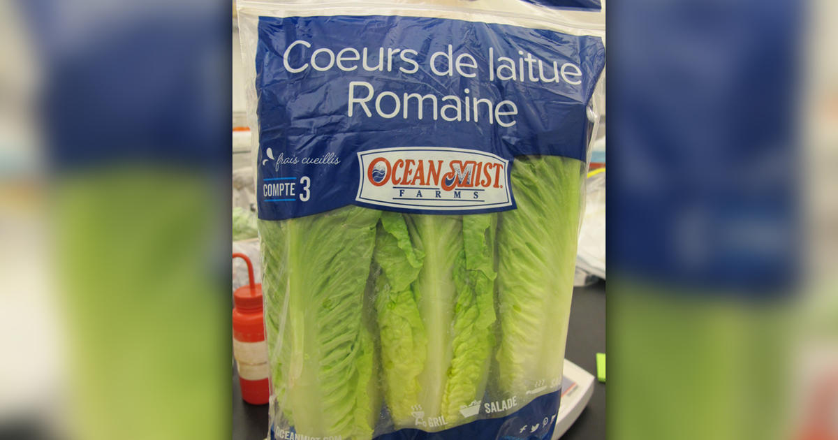 Romaine Lettuce Brand Recalled Due To Possible Parasite Contamination
