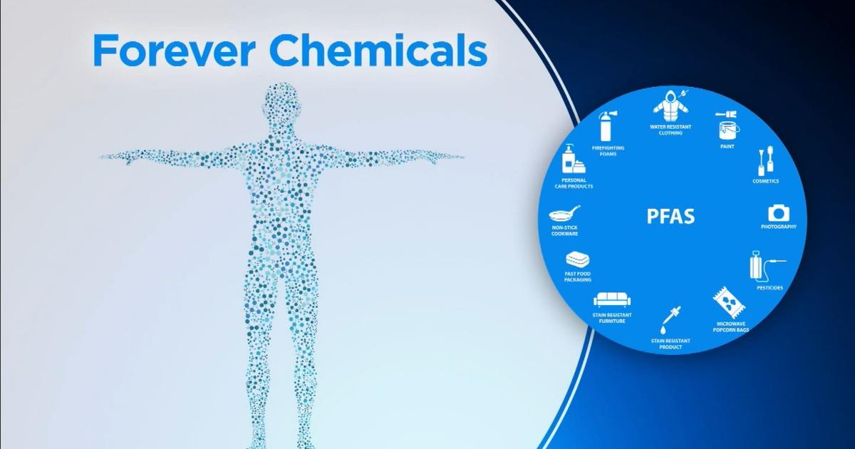 What's being done about Forever Chemicals?