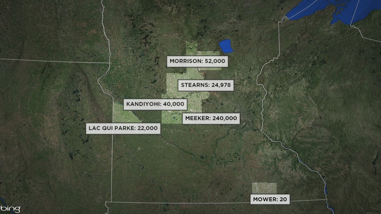Bird Flu Cases 