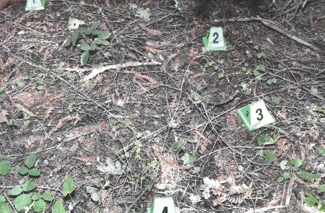 Tushar Atre evidence 