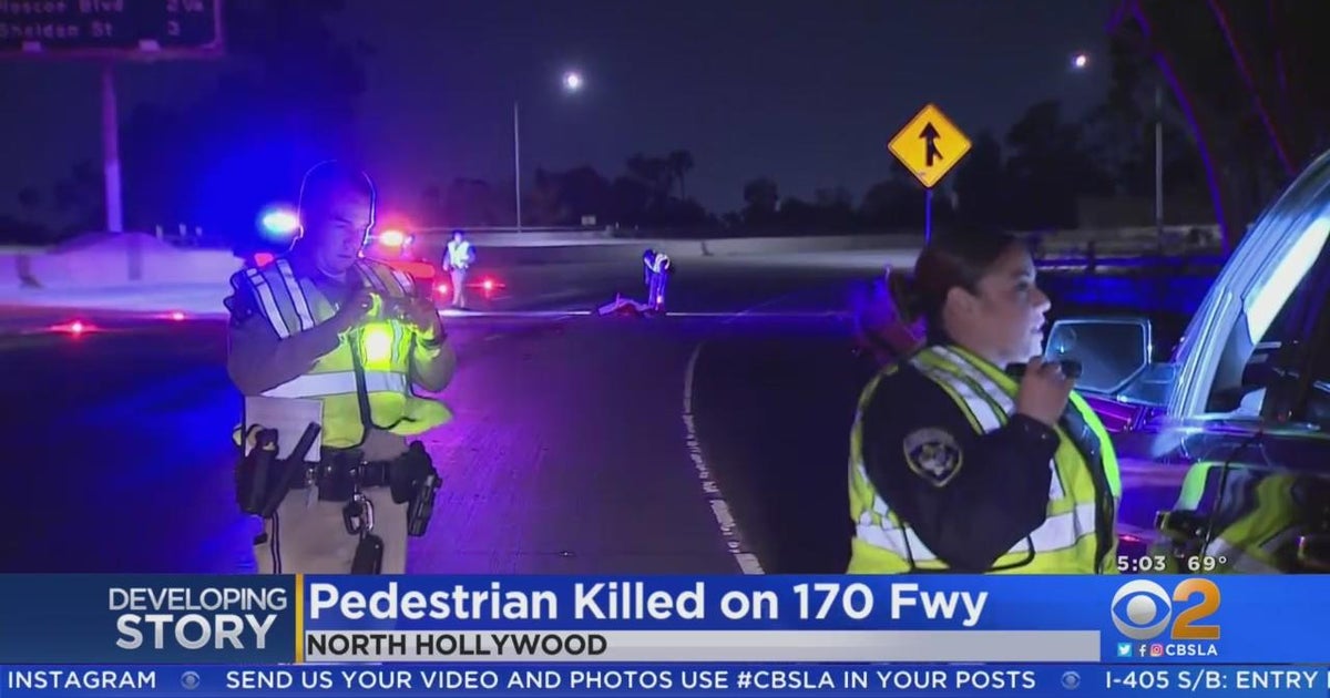 Pedestrian dies after being struck by 4 cars on 170 Freeway in North ...