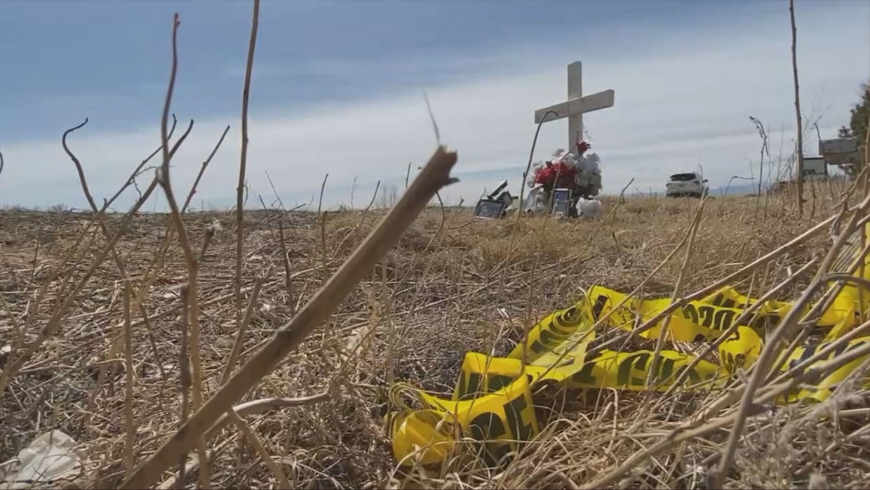 WINDSOR FATAL AUTO PED.transfer_frame_2611 