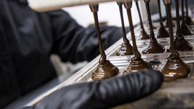 Inside The Kiva Confections Facility As Prop 64 Aims To Legalize Recreational Use Of Marijuana 