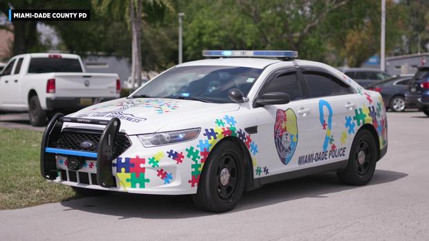 UM NSU Card Training Miami Dade Police Autism Training 