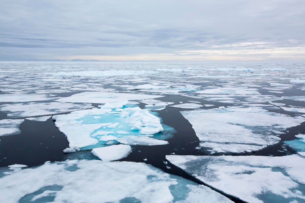 10 Earth Day facts that might surprise you - CBS News