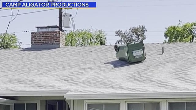 trash-can-on-sherman-oaks-roof.jpg 