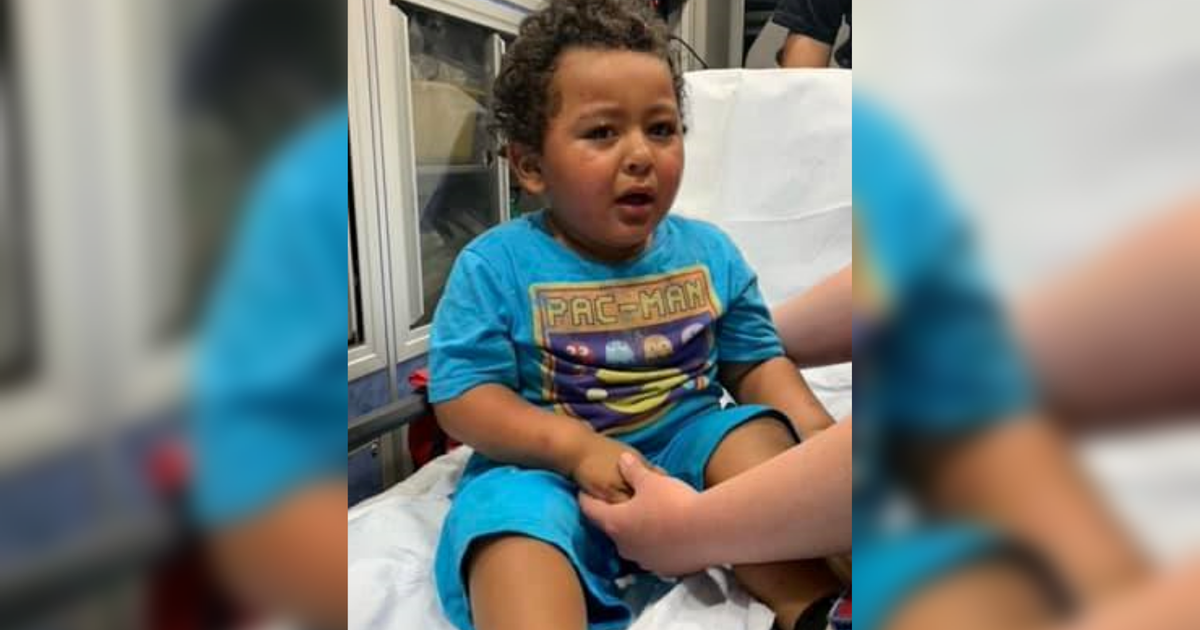 DoorDash Driver Accused Of Child Endangerment After Her Young Son Goes