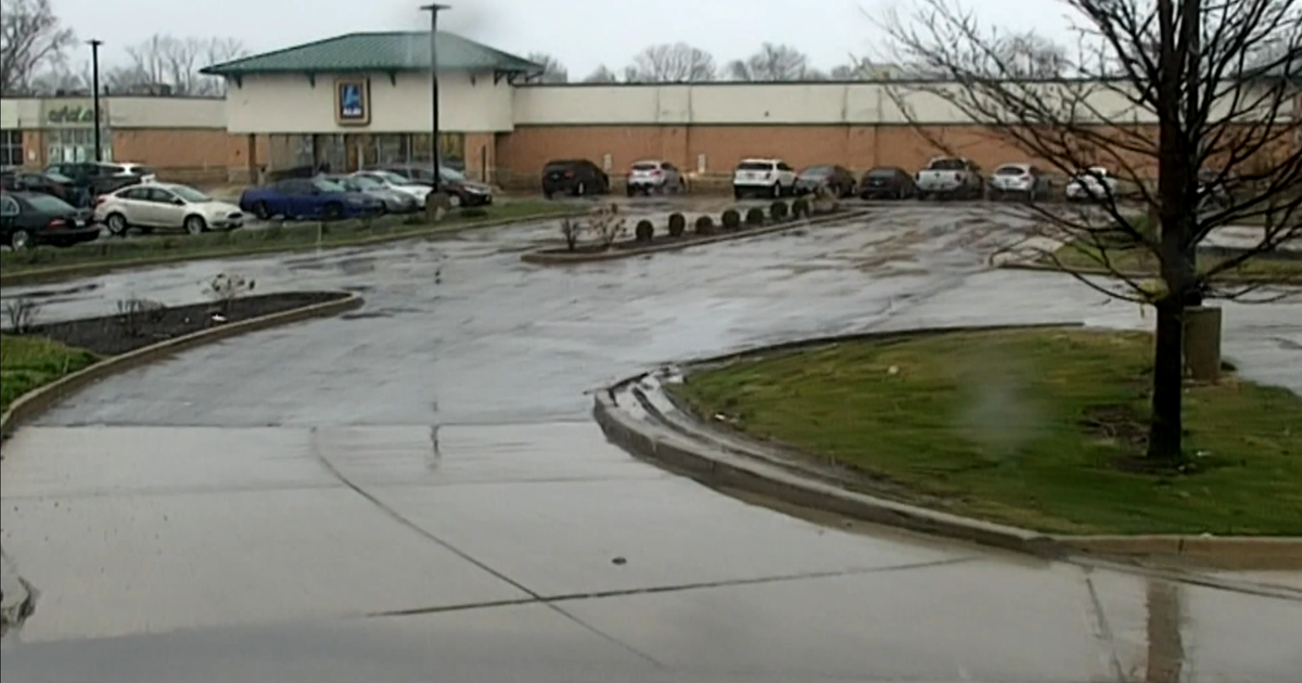 Truck driver shocked after getting $750 ticket for illegally parking in  Dixmoor lot - CBS Chicago