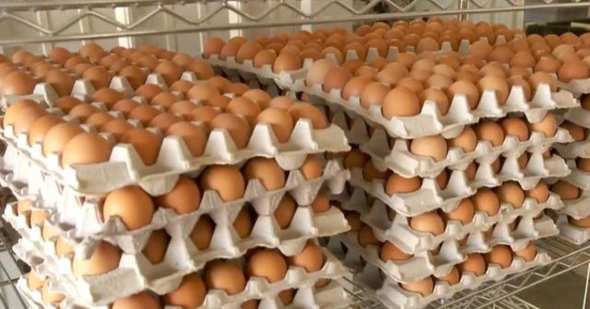 Inflation and deadly bird flu drive up egg prices CBS News