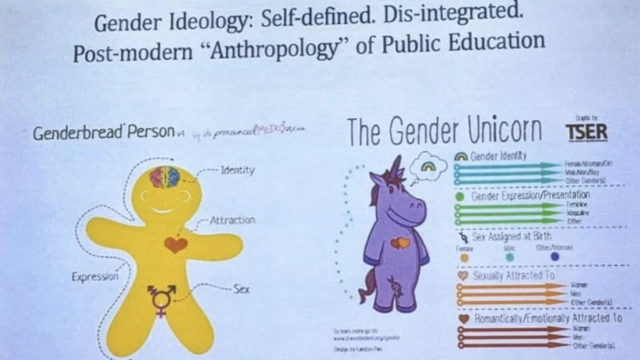 gender-unicorn.png 