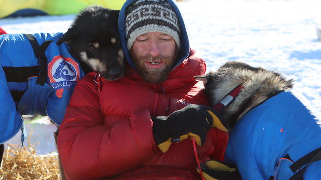 Iditarod-Pack Kills Pet 
