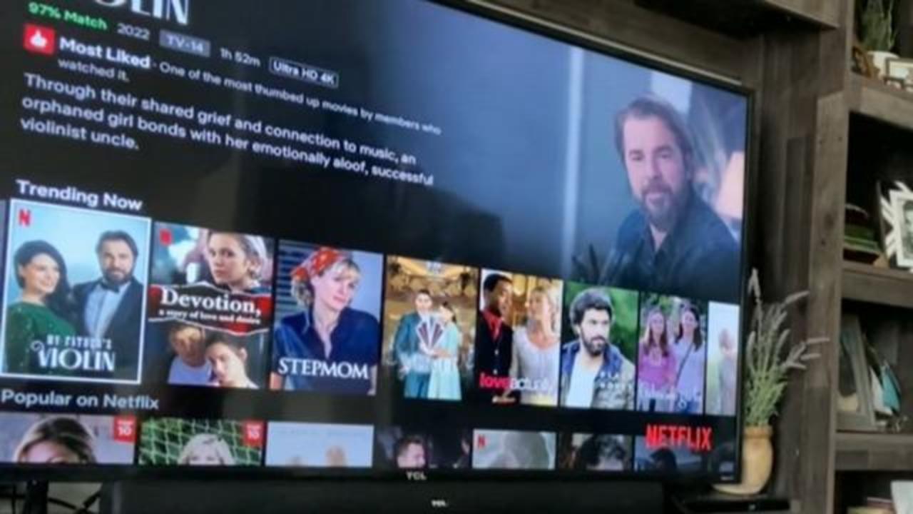 Netflix cancels multiple shows amid huge subscriber loss