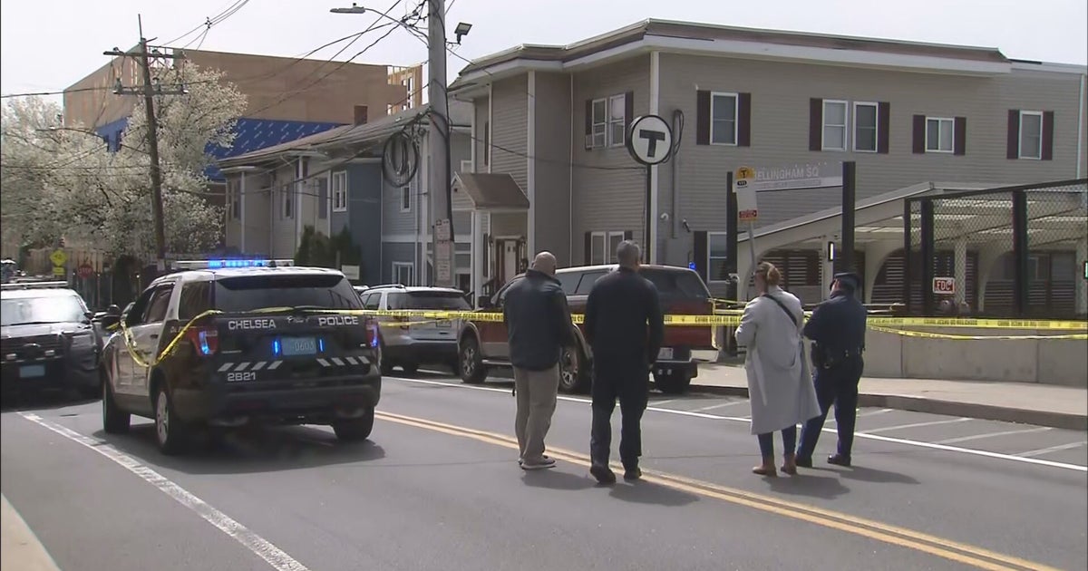 Grandmother Injured By Stray Bullet In Chelsea; Police Search For ...