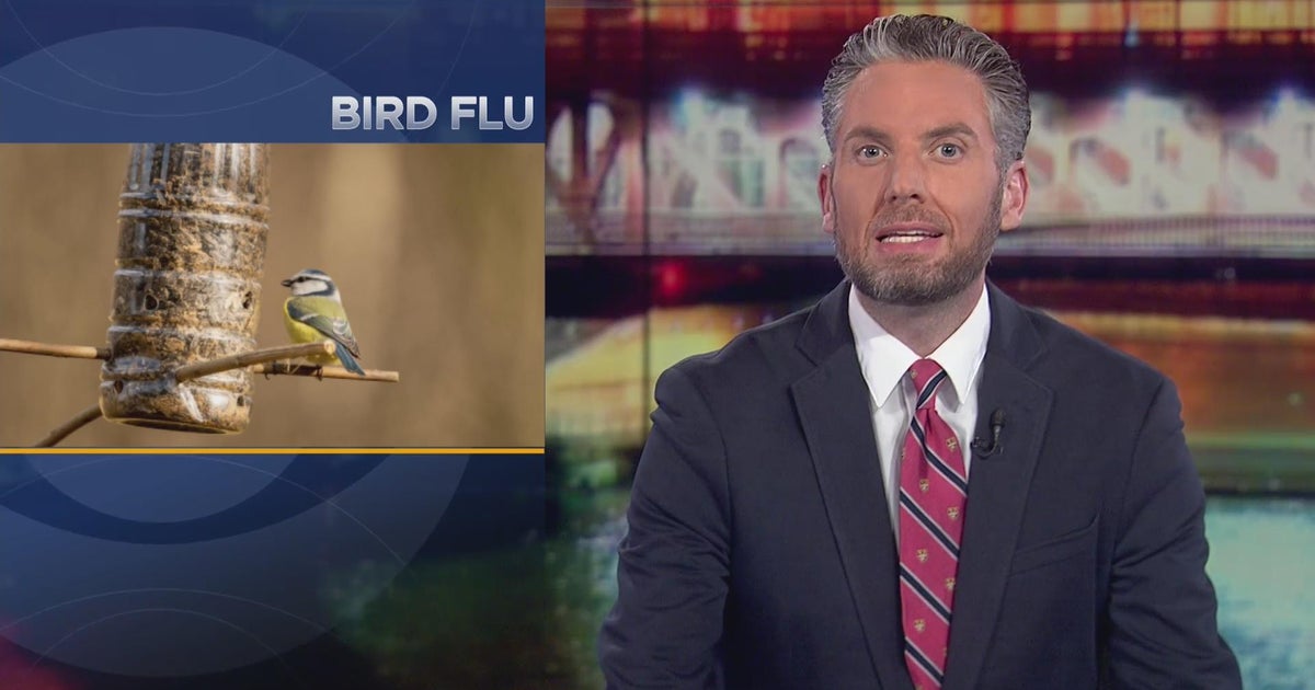 Illinois DNR calls for removal of bird feeders, bird baths due to avian