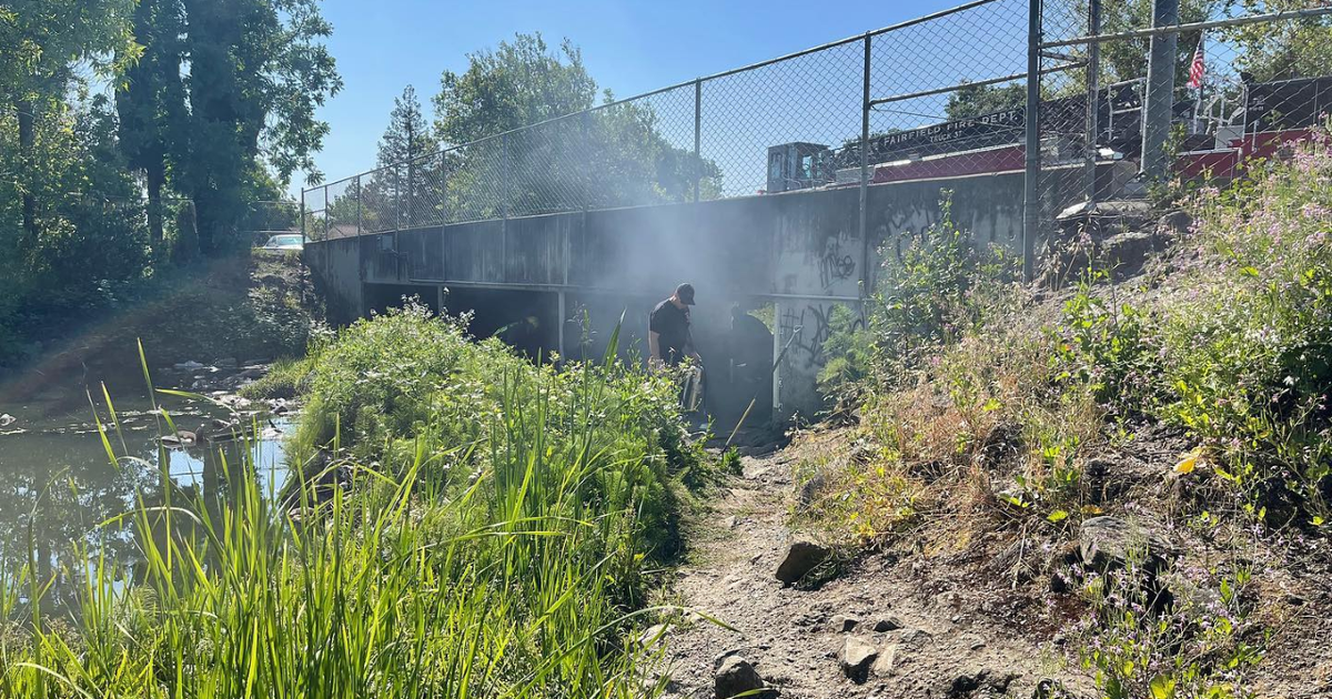 Rubbish Fire Under Bridge In Fairfield Knocked Down CBS Sacramento