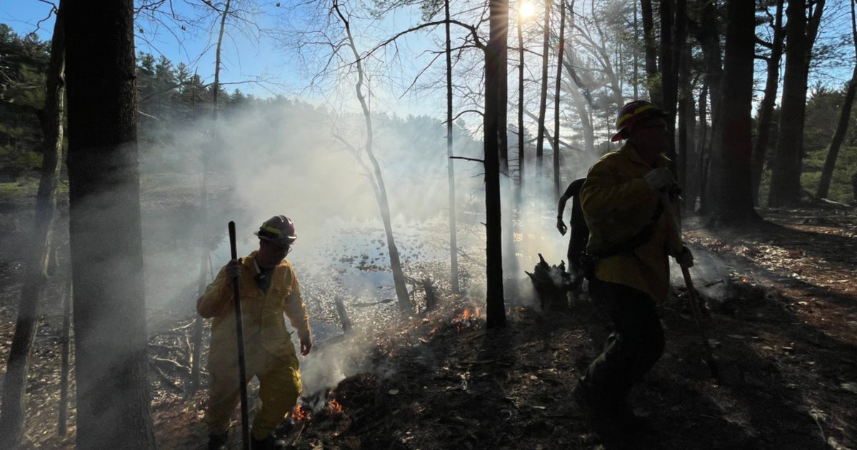 Westford Fire Department Investigating Series Of Brush Fires In