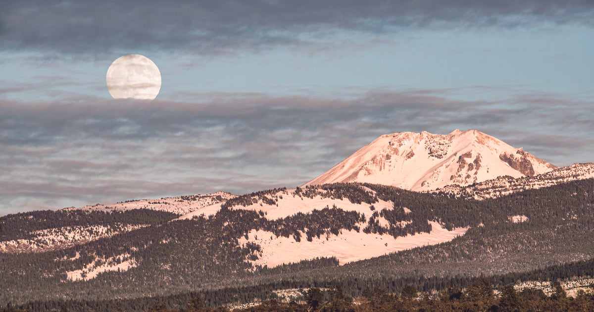 Woman Survives 6 Days In Northern California Forest Eating Yogurt And