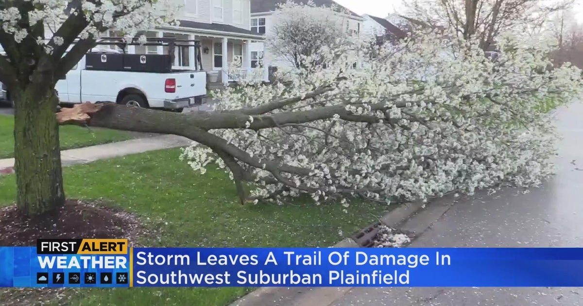 Severe storms leave trail of damage across Chicago area - CBS Chicago