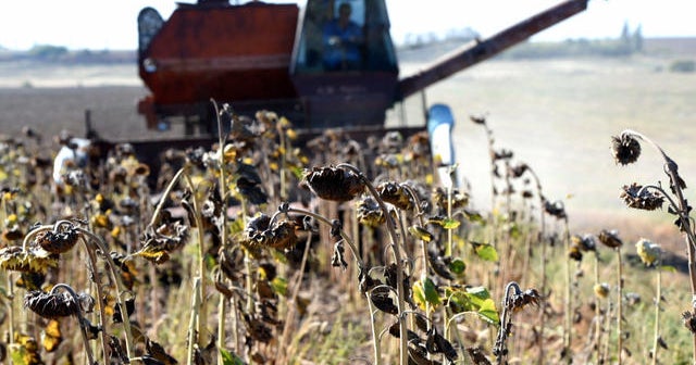 "Ukraine is the breadbasket of the world" CBS News