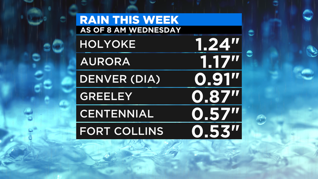 Rain Totals 