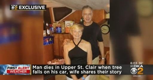 Man dies when tree falls onto car in Upper St. Clair - CBS Pittsburgh