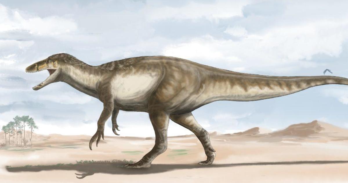 Velociraptors' Killer Claws Helped Them Eat Prey Alive