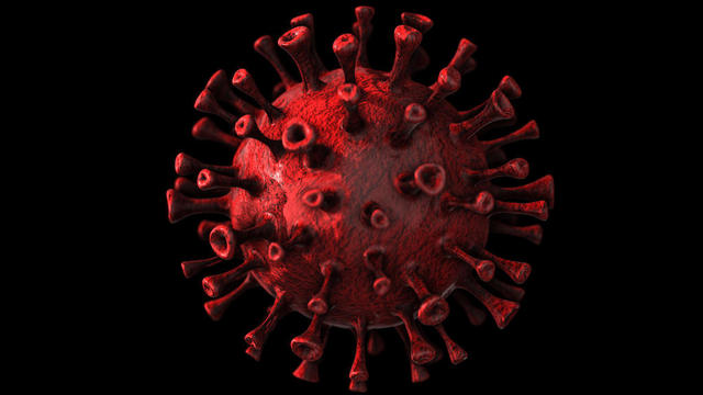 coronavirus-cases.jpg 