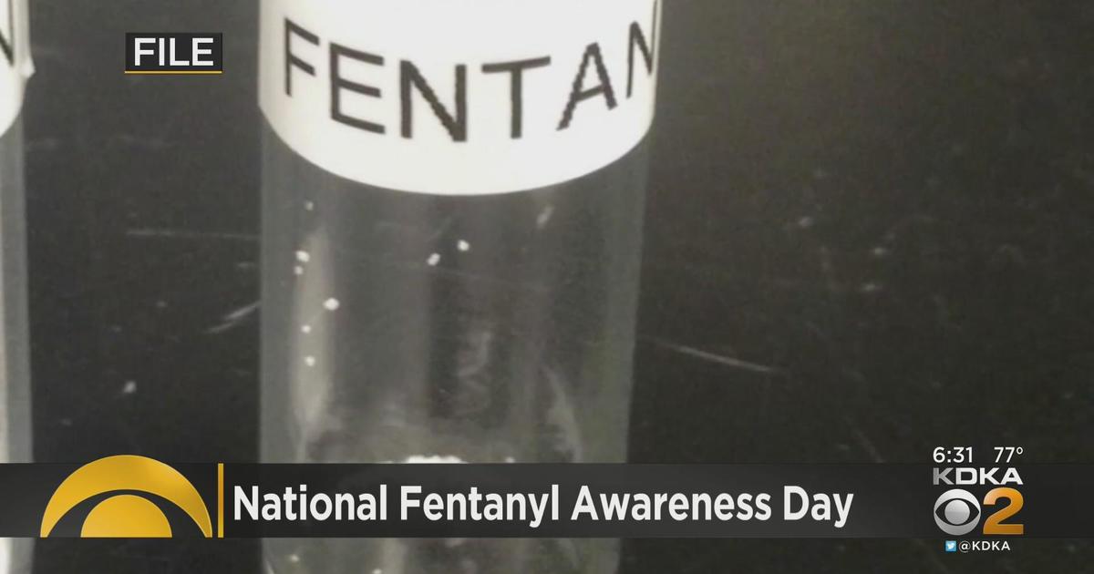 On National Fentanyl Awareness Day, counselor shares importance of