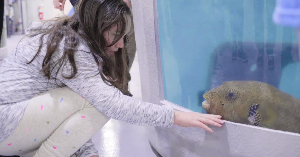 National Aquarium To Offer Tours Of Rescue Center In Jonestown CBS