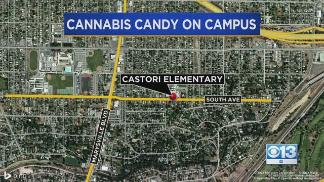 cannabis-candy-graphic.jpg 