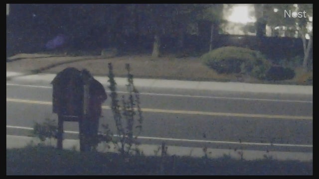 Little Queer Library in Waltham 