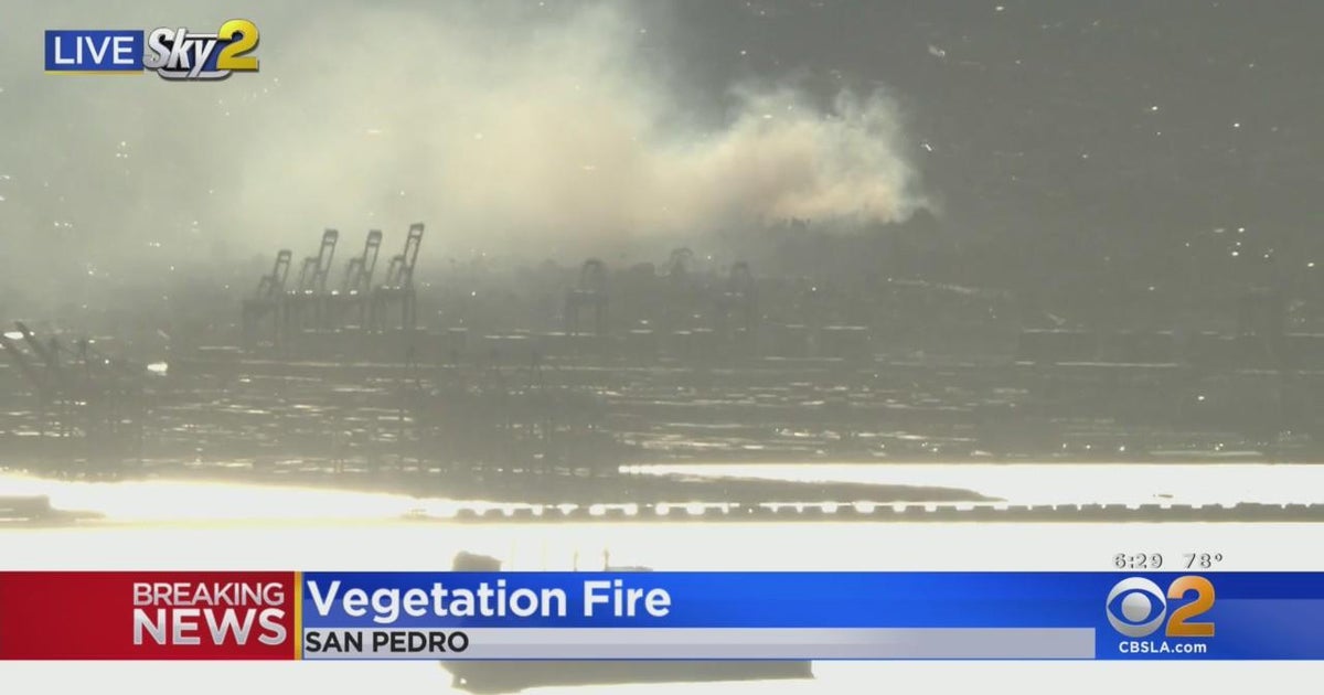 Vegetation fire burns near home in San Pedro - CBS Los Angeles