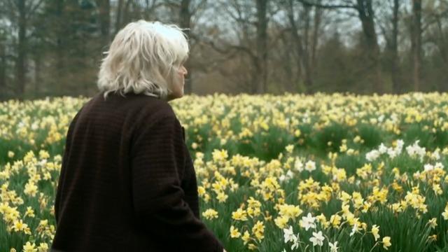 cbsn-fusion-husbands-love-for-his-wife-lives-on-in-field-of-40000-daffodils-thumbnail-1009772-640x360.jpg 