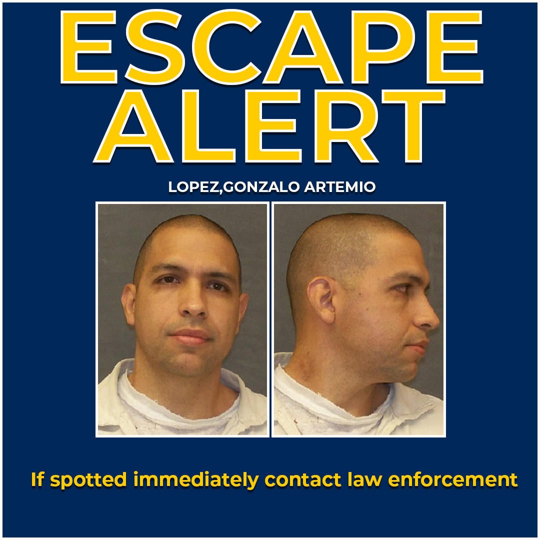 Manhunt continues for convicted murderer who stabbed prison bus driver ...