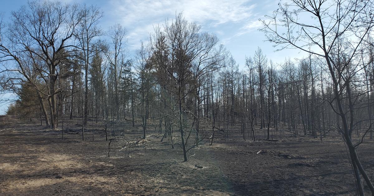 Dnr Northern Michigan Wildfire 98 Contained Cbs Detroit
