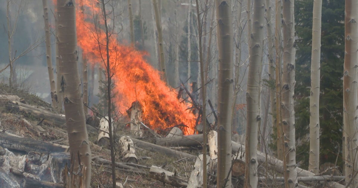 New York state enacts outdoor burn ban until Oct. 15