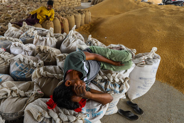 India ban exports of wheat 