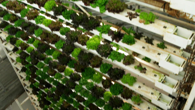 vertical-farming-1280.jpg 