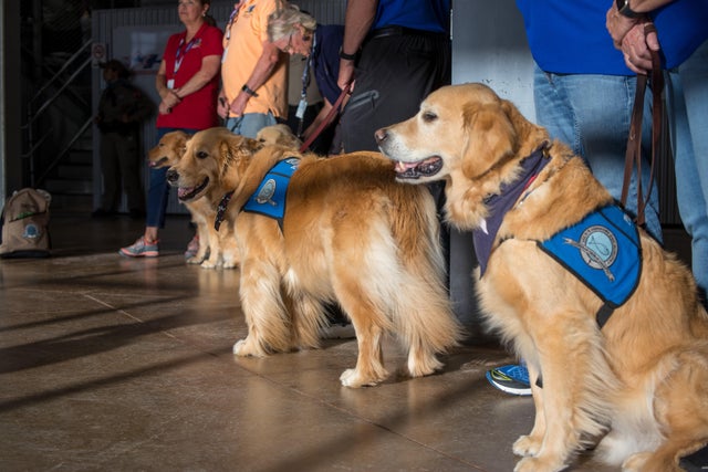 Uvalde school shooting 